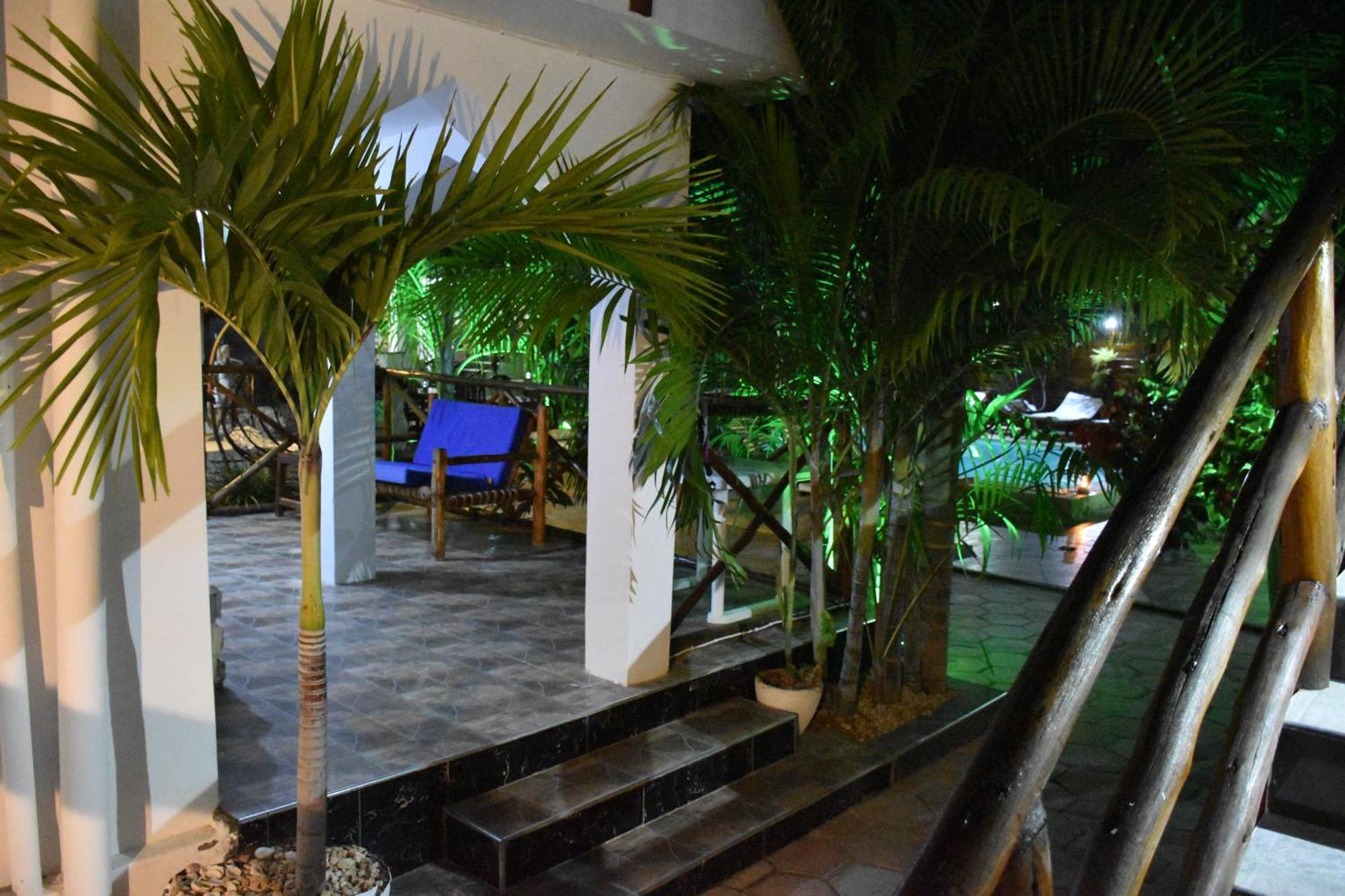 Cezere The Palm Hotel Paje Ngoại thất bức ảnh