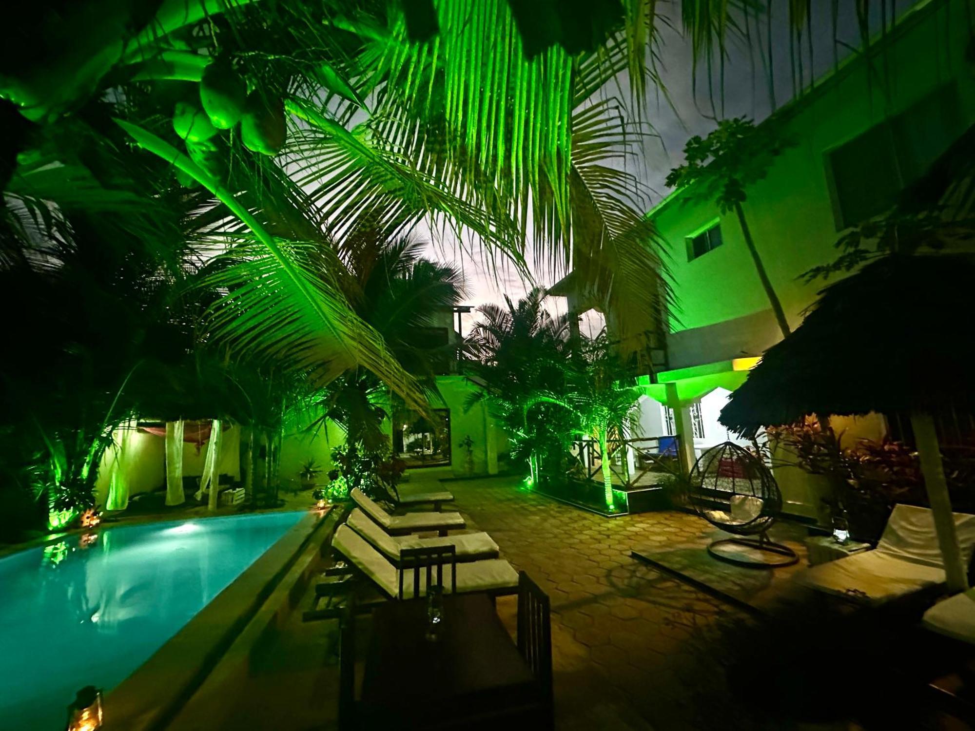 Cezere The Palm Hotel Paje Ngoại thất bức ảnh